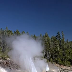 Minor eruption from Steamboat Geyser, Norris Geyser Basin, Yellowstone National Park, UNESCO World Heritage Site, Wyoming, United States of America, North America