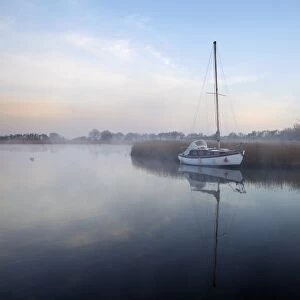 A misty morning in the Norfolk Broads at Horsey Mere, Norfolk, England, United Kingdom, Europe