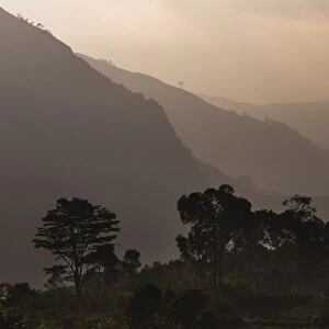 Misty mountain sunrise, Haputale, Sri Lanka Hill Country, Nuwara Eliya District, Sri Lanka, Asia