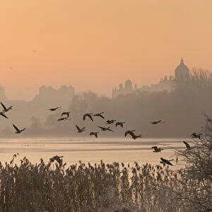 A misty sunrise over the Great Lake on the Castle Howard Estate, North Yorkshire