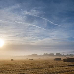 Misty sunrise at Longborough, a village in The Cotswolds, Gloucestershire, England, United Kingdom, Europe