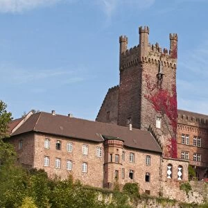 The Mittelburg (Middle Castle) in Neckarsteinach, Hesse, Germany, Europe