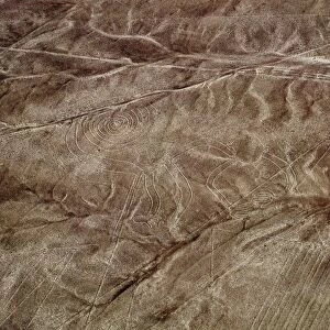The Monkey Geoglyph, aerial view, Nazca, UNESCO World Heritage Site, Ica Region, Peru