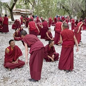 Monks learning session, with masters and students, Sera Monastery, Tibet, China, Asia