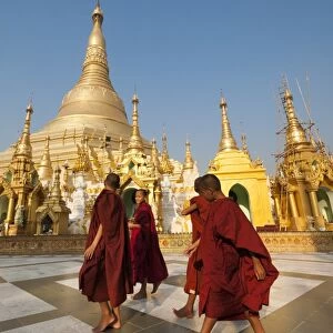 Monks walk around Shwedagon Pagoda, Yangon (Rangoon), Myanmar (Burma), Asia