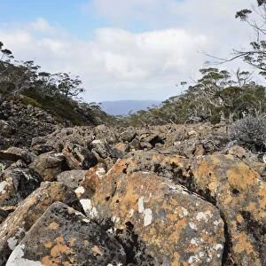 Moraine, Mount Field National Park, UNESCO World Heritage Site, Tasmania