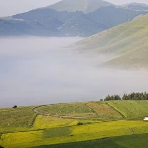 Morning fog, Highland of Castelluccio di Norcia, Castelluccio di Norcia