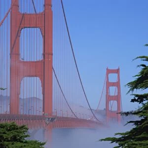 Morning fog surrounds the Golden Gate Bridge, in San Francisco, California