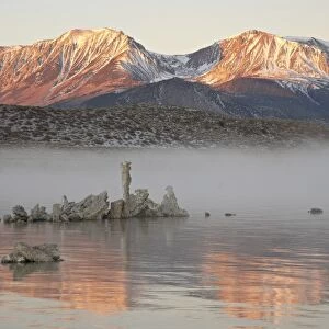 Morning light, Mono Lake, California, United States of America, North America