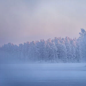 Morning mist over frozen river, River Kitkajoki, Kuusamo, Finland, Europe