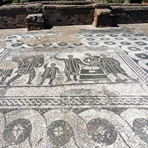 Mosaic, Aula dei misuratori del grano (grain meter room), Ostia Antica archaeological