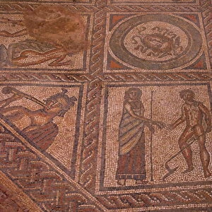 Mosaics at Brading Roman Villa, Brading, Isle of Wight, England, United Kingdom, Europe