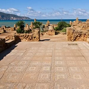 Mosaics at the Roman ruins of Tipasa, UNESCO World Heritage Site, on the Algerian coast