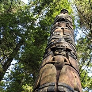 Mosquito Legend Pole, Tlingit totem pole, rainforest, summer, Sitka National Historic Park