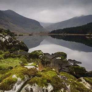 Moss covered rock, mountains and reflections in Cummeenduff Lake, Black Valley, Killarney