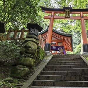 Moss covered Shinto shrine surrounded by thick forest in summer, Fushimi Inari Taisha