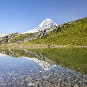Mount Eiger reflected in a creek, Mannlichen, Grindelwald, Bernese Oberland, Canton of Bern