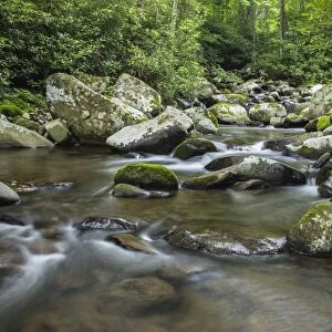 Mountain creek flowing through dense forest woods near the Appalachian Trail, North Carolina
