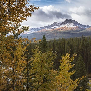 Mountain range at Morants Curve in autumn foliage, Banff National Park, UNESCO