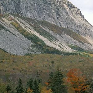 Mountain and trees in autumn (fall)