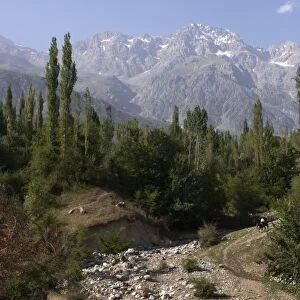 Mountains with walnut trees, Arslanbob, Kyrgyzstan, Central Asia