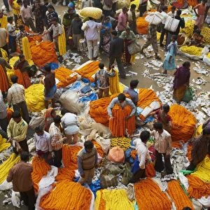 Mullik Ghat flower market, Kolkata (Calcutta), West Bengal, India, Asia
