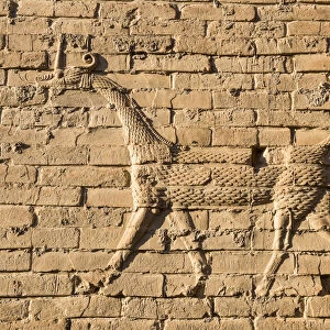 Musa¸«ussu (sirrush) and aurochs relief, Babylon, Iraq Musß©½ussu