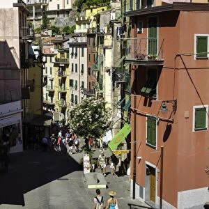 Narrow streets in the clifftop village of Riomaggiore, Cinque Terre, UNESCO World Heritage Site