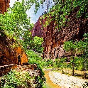 The Narrows Canyon Trail, Zion National Park, Utah, United States of America