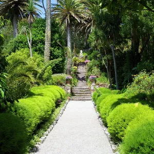 Neptunes Steps, Abbey Gardens, Isle of Tresco, Isles of Scilly, United Kingdom, Europe