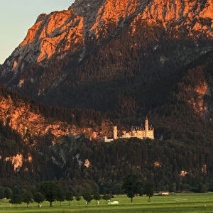 Neuschwanstein Castle at sunset, Schwangau, Allgau, Schwaben, Bavaria, Germany, Europe