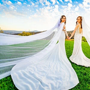 Newlyweds first look post wedding ceremony, Corona, California, United States of America