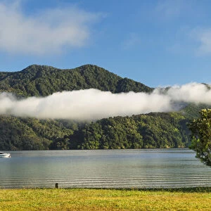 Ngakuta Bay, Marlborough Sounds, Picton, South Island, New Zealand, Pacific