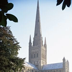 Norman cathedral, dating from 11th century, with 15th century spire, and hostry remains in foreground, Norwich, Norfolk, England, United