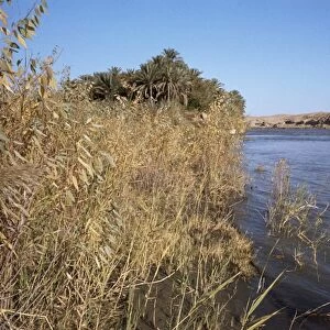 North Euphrates