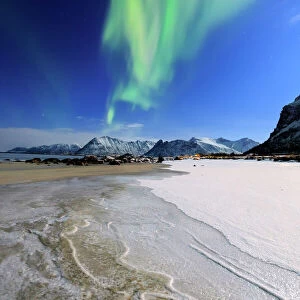 Northern Lights (aurora borealis) on Gymsoyan sky, Gimsoy, Lofoten Islands, Arctic