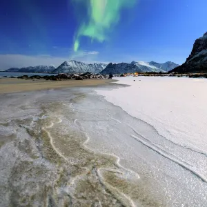 Northern Lights (aurora borealis) on Gymsoyan sky, Gimsoy, Lofoten Islands, Arctic