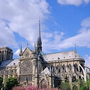 Notre Dame cathedral, Paris, France, Europe