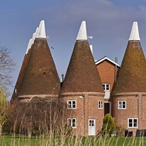 Oast houses, originally used to dry hops in beer-making, converted into farmhouse
