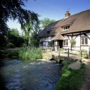 Old Alresford, Hampshire, England, United Kingdom, Europe