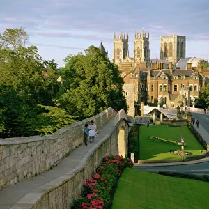 Old city wall and York Minster, York, Yorkshire, England, United Kingdom, Europe