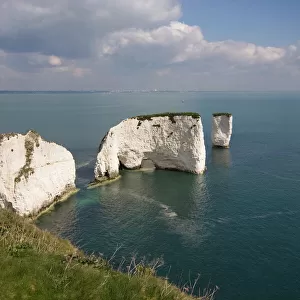Old Harry Rocks, The Foreland or Handfast Point, Studland, Isle of Purbeck