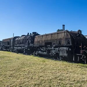 Old steam trains from the Dorrigo railway line, Dorrigo National Park, New South Wales
