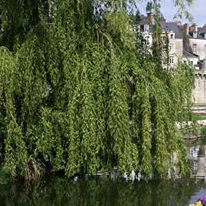 Old walled town, Vannes, Morbihan, Brittany, France, Europe