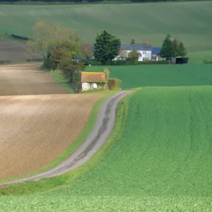 Old Winchester Hill, Hampshire, England