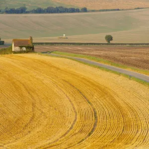 Old Winchester Hill, Hampshire, England