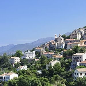 Oletta, Corsica, France, Mediterranean, Europe