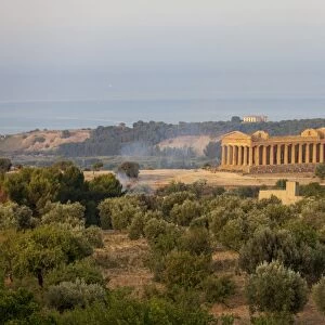 The olive grove frames the Temple of Concordia, an ancient Greek temple in the Valle dei Templi