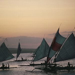 Outrigger fishing boats under sail
