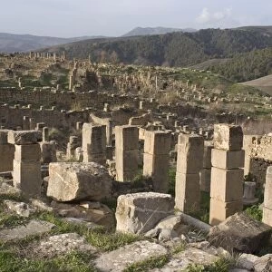Overlooking the Roman site of Djemila, UNESCO World Heritage Site, Algeria